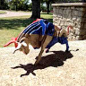 Meet your Posher, David